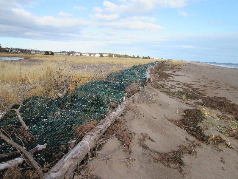 Restauration des dunes